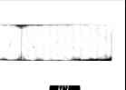 009_thumb.jpg