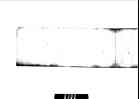010_thumb.jpg