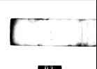 010_thumb.jpg