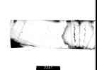 067_thumb.jpg