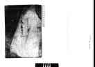 002_thumb.jpg