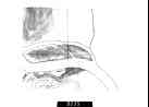 011_thumb.jpg