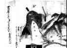 016_thumb.jpg